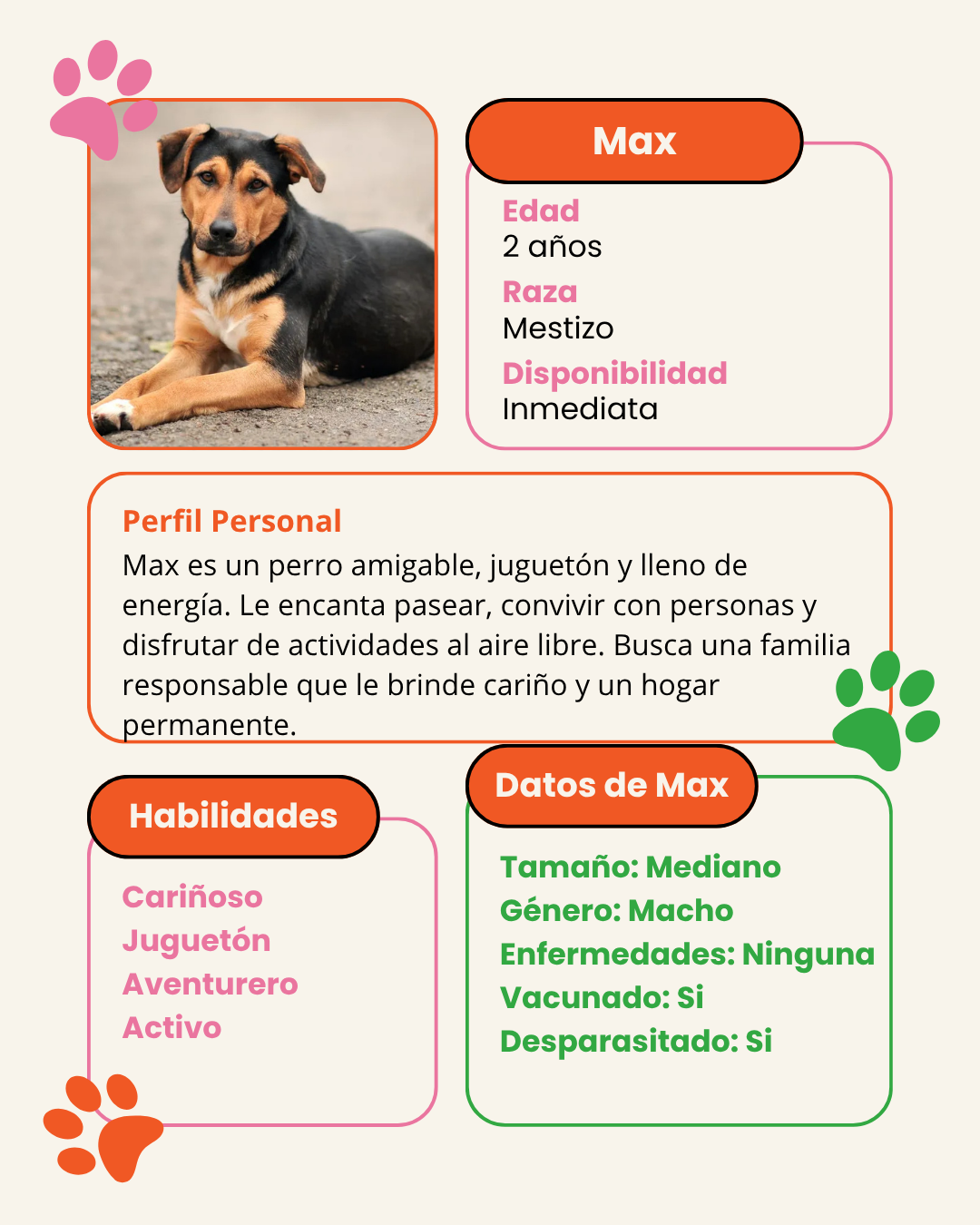 Adopcion de perro Max