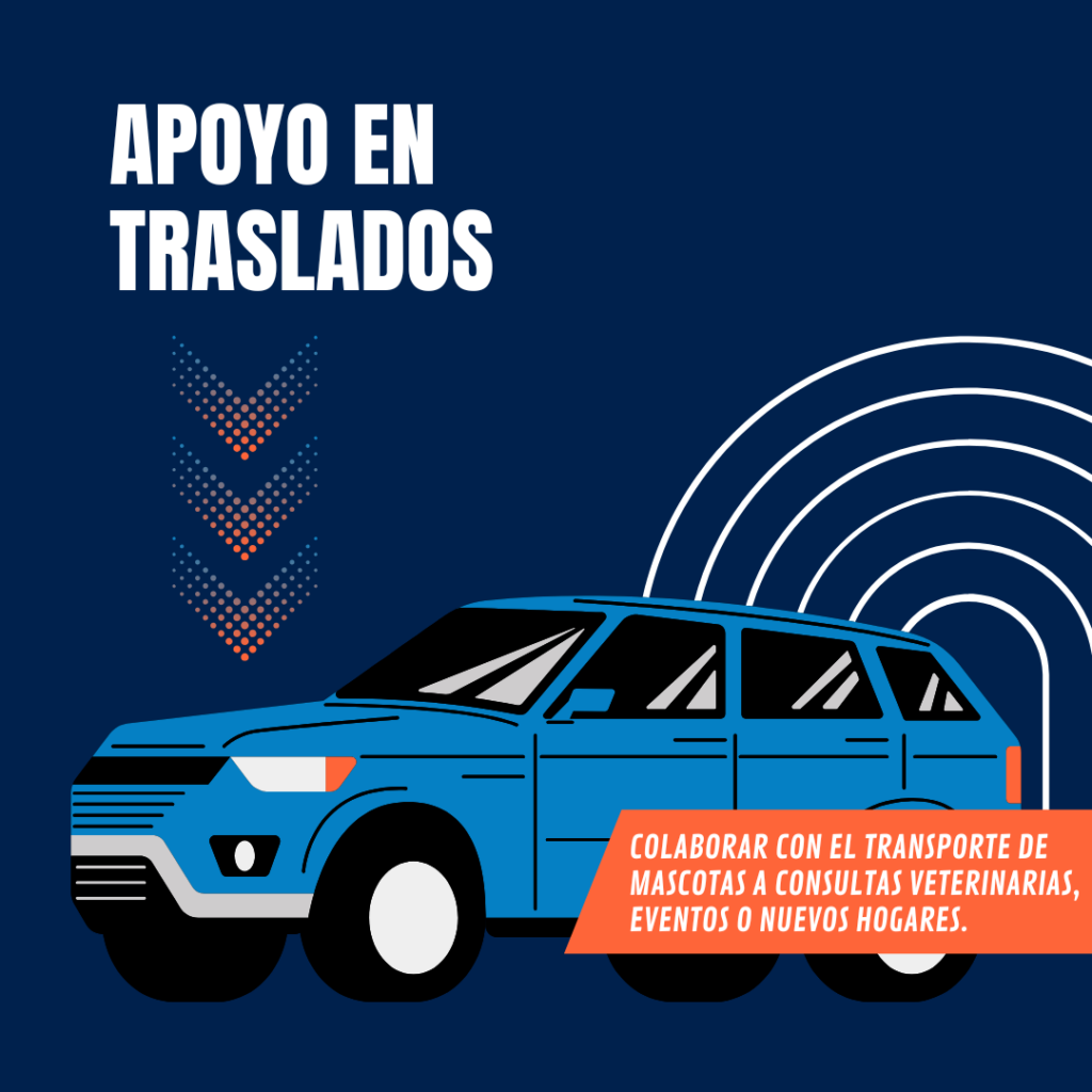 Ayuda con transporte