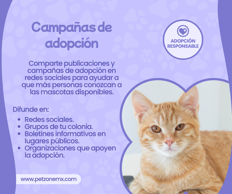 Ayuda con adopciones