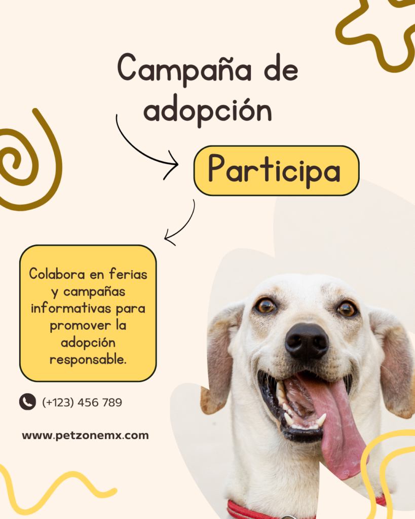 Ayuda con adopciones